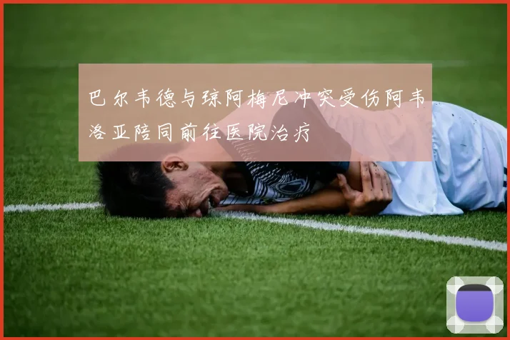 巴尔韦德与琼阿梅尼冲突受伤阿韦洛亚陪同前往医院治疗